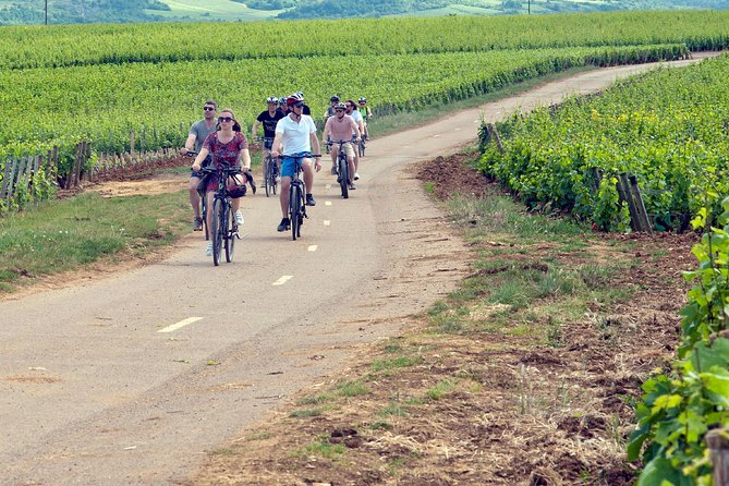 Burgundy E-Bike Wine Tasting Full-Day Tour W/Lunch From Dijon  - Beaune - Tour Highlights
