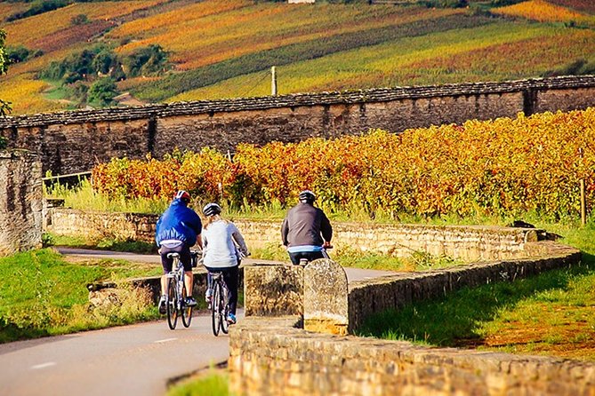 Burgundy E-Bike Wine Tasting Full-Day Tour W/Lunch From Dijon  - Beaune - E-Bike Experience