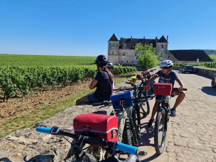 Burgundy: Fantastic 2-Day Cycling Tour With Wine Tasting - Tour Overview
