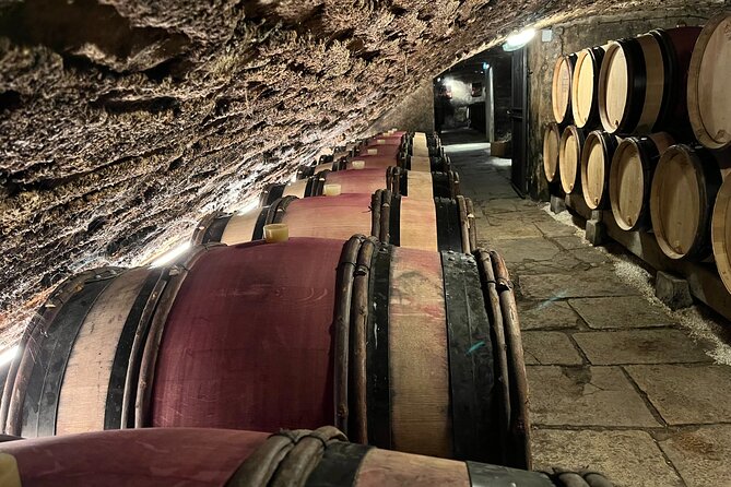 Burgundy Grand Crus Route Day Tour With 10 Wines Tastings in Family Domains - Traveler Reviews