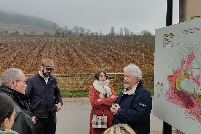 Burgundy Grand Crus Route Day Tour With 10 Wines Tastings in Family Domains - Pricing