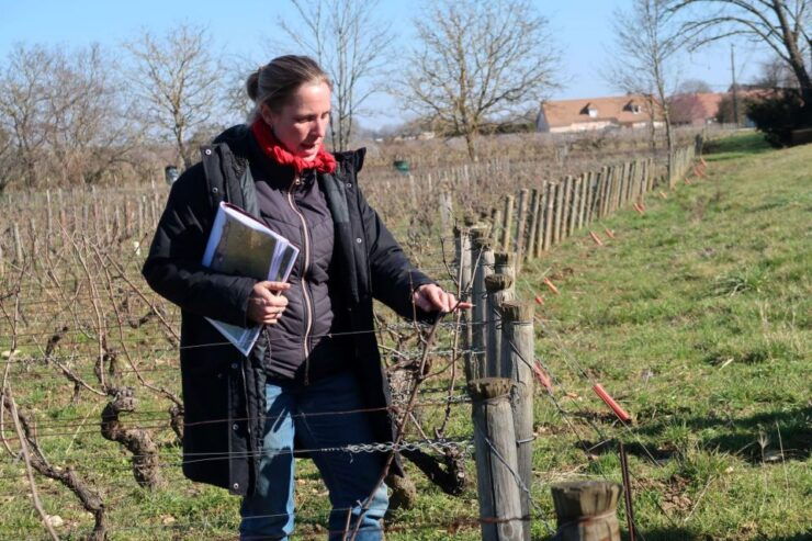 Burgundy: Guided Vineyard and Winery Tour With Wine Tasting - Good To Know