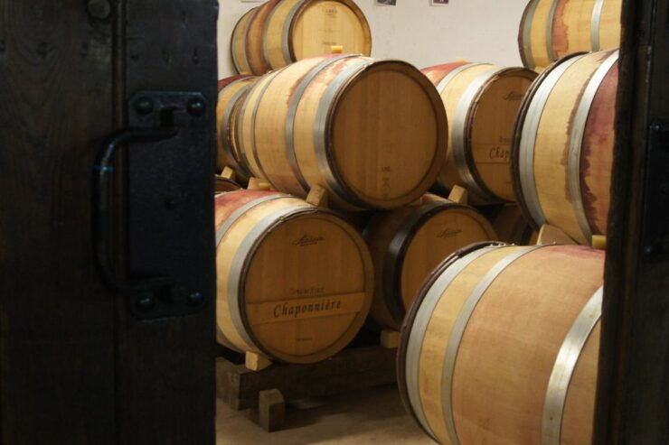 Burgundy: Guided Vineyard and Winery Tour With Wine Tasting - Multilingual Experience and Highlights