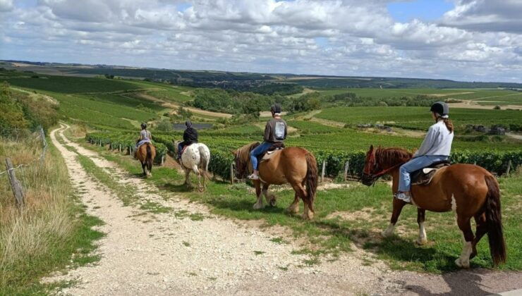 Burgundy : Horse Riding Tour in Chablis - Good To Know