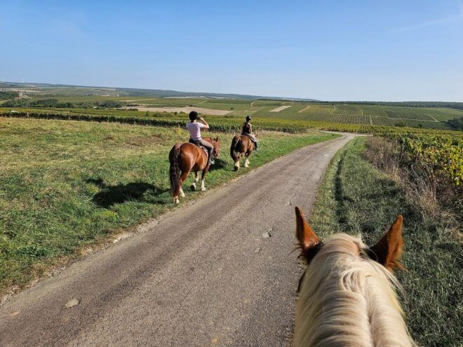Burgundy : Horse Riding Tour in Chablis - Directions