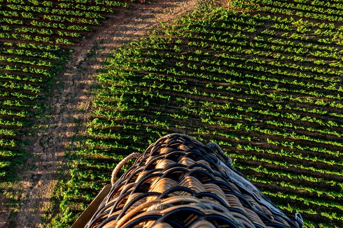 Burgundy Hot-Air Balloon Ride From Beaune - Overview of the Experience