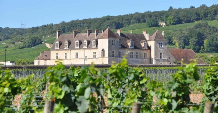 Burgundy Luxury Half–Day Côte De Nuits Vineyards Tour - Key Points