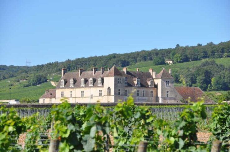 Burgundy Luxury Half–Day Côte De Nuits Vineyards Tour - Pricing and Duration