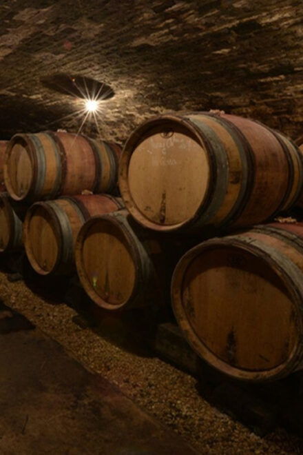 Burgundy Luxury Half–Day Côte De Nuits Vineyards Tour - Pickup and Accessibility
