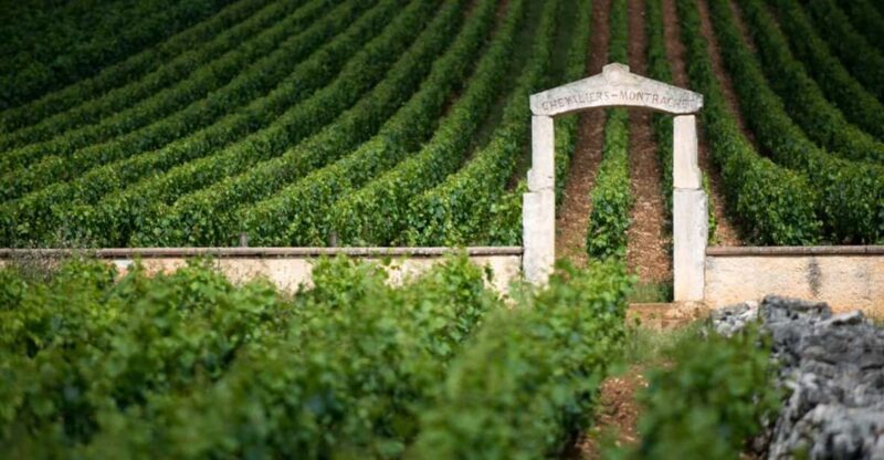 Burgundy Vineyards: Luxury Private Tours - Why Choose This Tour?