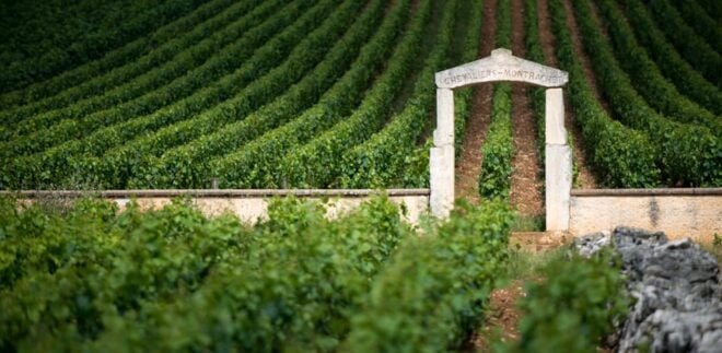 Burgundy Vineyards: Luxury Private Tours - Included Services