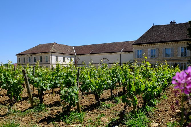 Burgundy Wine Trail From Beaune to Macon - Frequently Asked Questions
