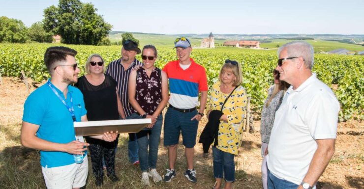 Burgundy: Winery Tour - Tour Details and Information