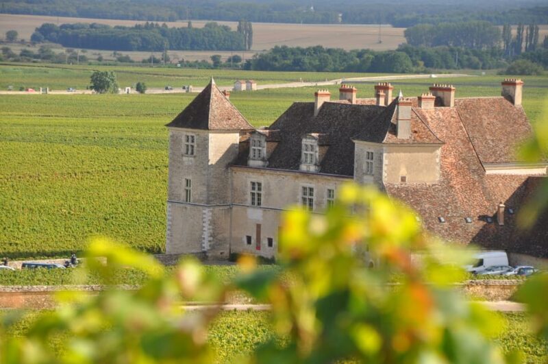 Burgundy Wines Full-Day Tasting Tour from Dijon - Good To Know