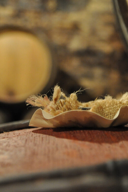 Burgundy Wines Full-Day Tasting Tour from Dijon - An In-Depth Look at the Tour Experience