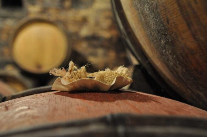 Burgundy Wines Full-Day Tasting Tour From Dijon - Customer Reviews