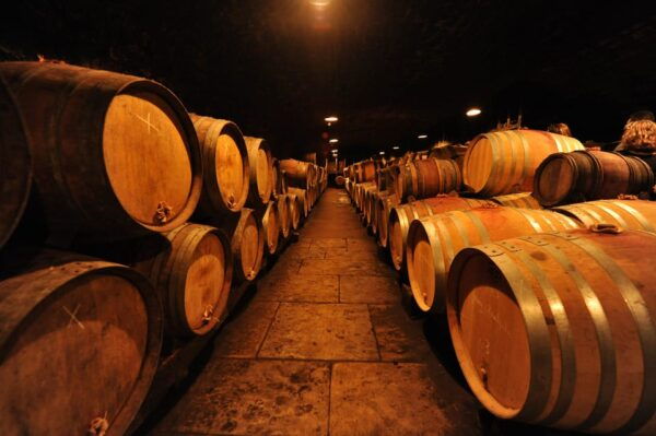 Burgundy Wines Full-Day Tasting Tour From Dijon - Questions You May Have