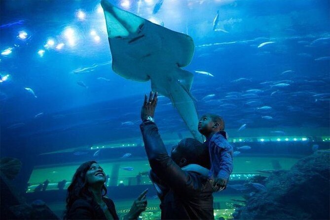Burj Khalifa and Dubai Aquarium Combo Admission Ticket - Exploring the Burj Khalifa: What to Expect