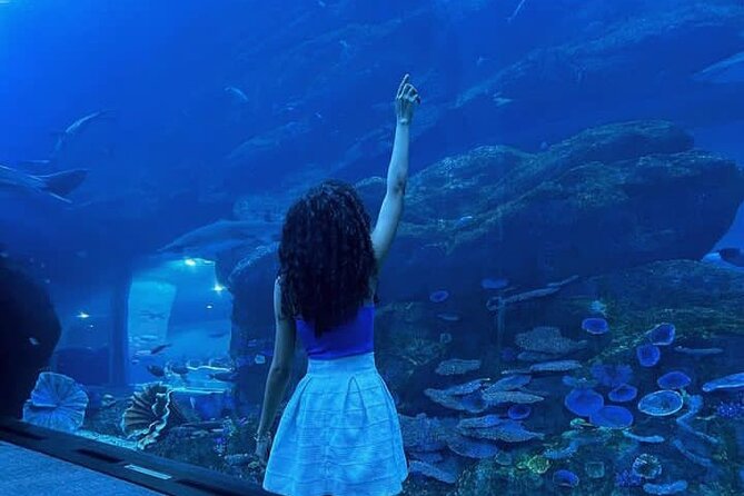 Burj Khalifa and Dubai Aquarium Combo Ticket - Pricing Information