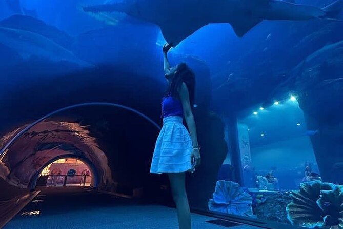 Burj Khalifa and Dubai Aquarium Combo Ticket - What To Expect