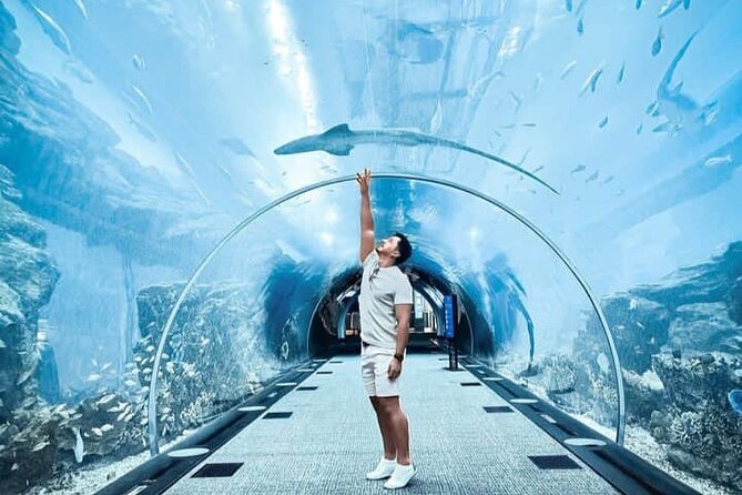 Burj Khalifa and Dubai Aquarium Combo Ticket - Note on Ticket Inclusions