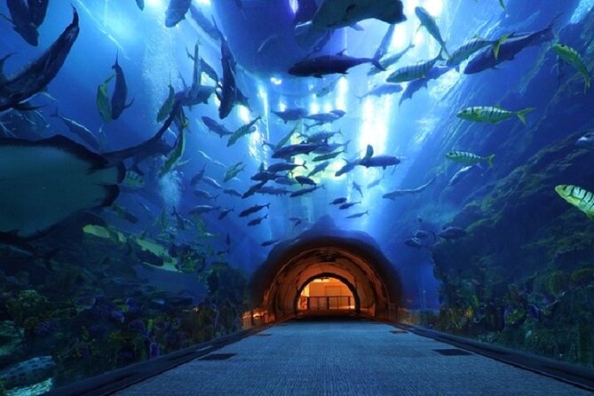 Burj Khalifa and Dubai Mall Aquarium Combo Deal - Meeting and Pickup Details for the Combo Deal