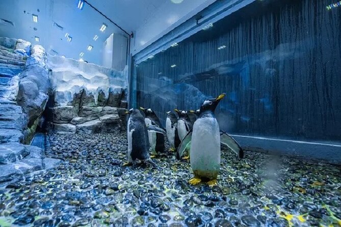 Burj Khalifa and Dubai Mall Aquarium Combo Deal - What to Expect During the Combo Deal