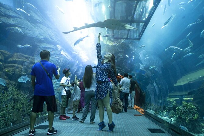Burj Khalifa and Dubai Mall Aquarium Combo Deal - Pricing and Lowest Price Guarantee for the Combo Deal
