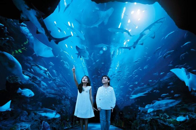 Burj Khalifa At the Top Ticket With Dubai Aquarium & Underwater Zoo - Free Cancellation and Refund Policy