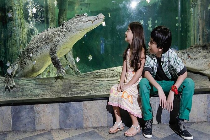 Burj Khalifa at the Top & Under Water Zoo Aquarium With Transfer - Questions and Contact Information