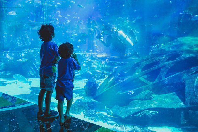 Burj Khalifa Dubai Aquarium and Lake Ride With Private Transfer - Whats Included