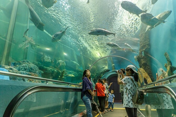 Burj Khalifa Dubai Aquarium and Lake Ride With Private Transfer - Booking Details