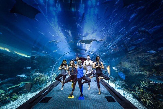 Burj Khalifa, Dubai Aquarium and Underwater Zoo Combo Admission Tickets - Overview of the Experience