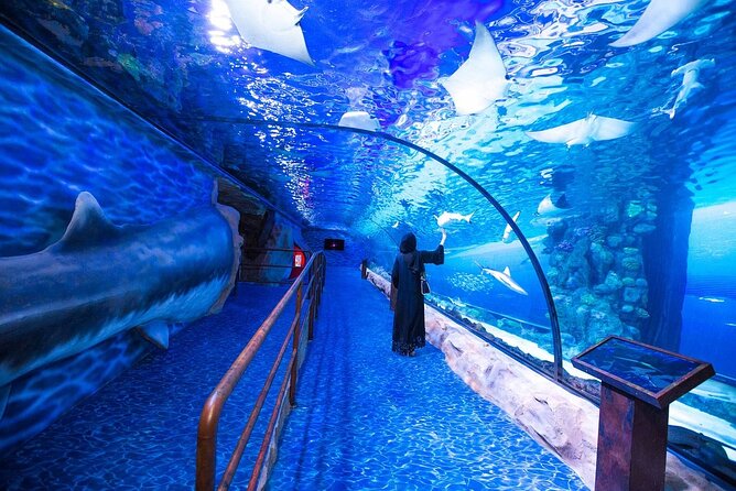 Burj Khalifa, Dubai Aquarium and Underwater Zoo Combo Admission Tickets - Traveler Photos
