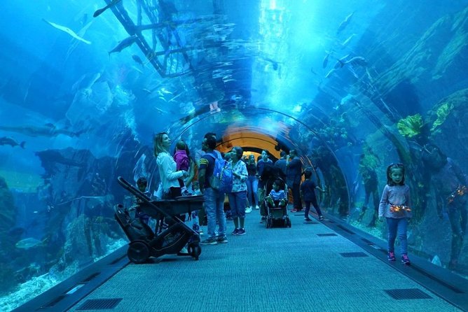 Burj Khalifa, Dubai Aquarium and Underwater Zoo Combo - Pricing and Availability