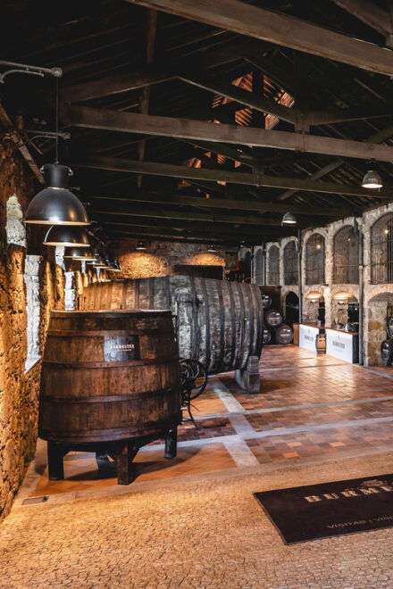 Burmester Cellar Tour - Tour Inclusions