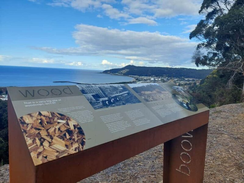 Burnie Attractions Bus - Exploring the Burnie Attractions Bus: An Honest Review