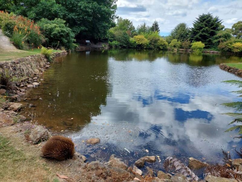 Burnie Attractions Bus - Good To Know