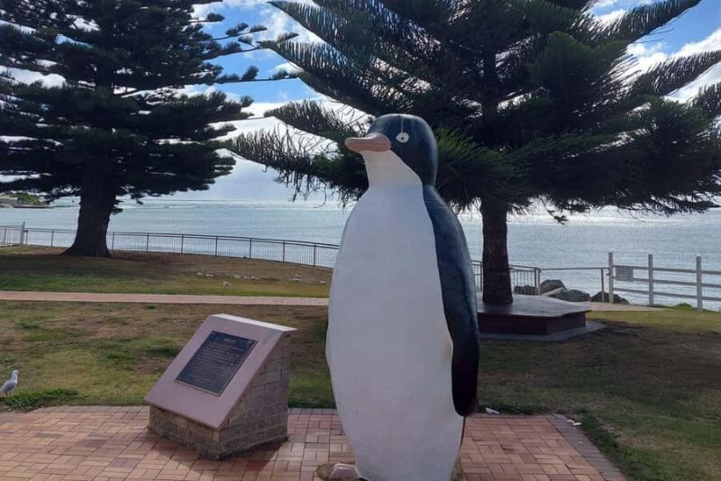 Burnie Attractions Bus - Final Thought