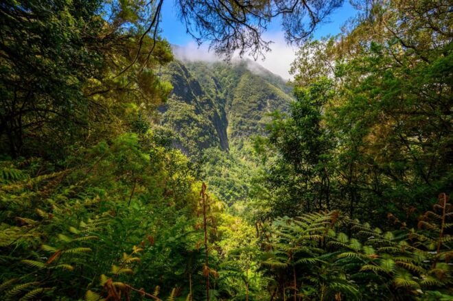 Burns Cauldron Green Madeira Island Walk - Itinerary Details