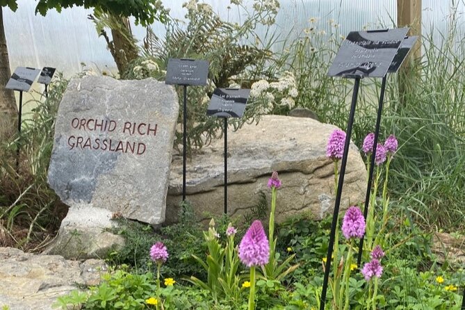 Burren Botany Experience - Immersive Learning in Nature
