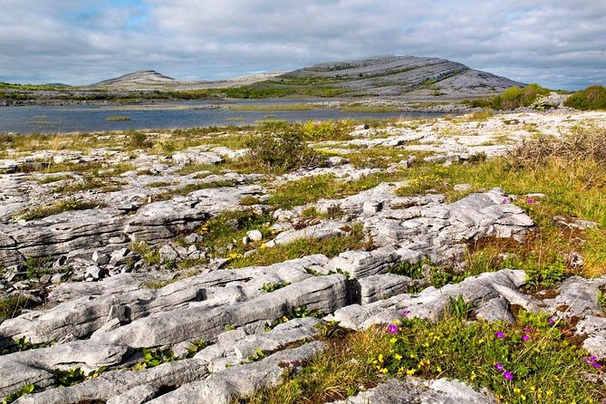 Burren National Park Private Walking Tour From Corofin  - Shannon - Meeting and Pickup Details