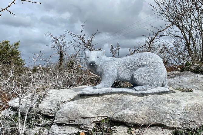 Burren Nature Sanctuary - Pre-booked Admission Tickets