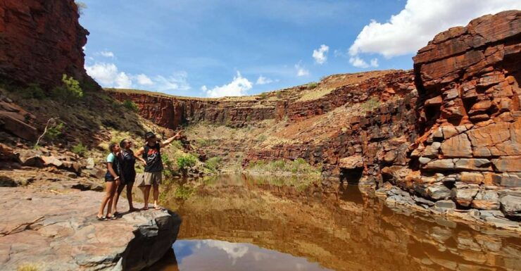 Burrup: Premium Rock Art Tour With Aboriginal Guide - Experience Highlights