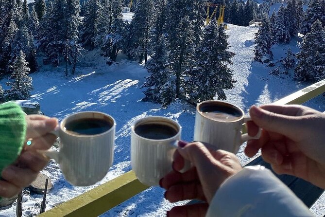 Bursa And Uludağ Tour From Istanbul With Lunch - Common Questions