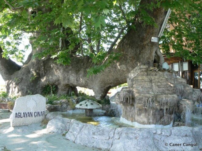 Bursa: Green Daily Tour - Travel Tips