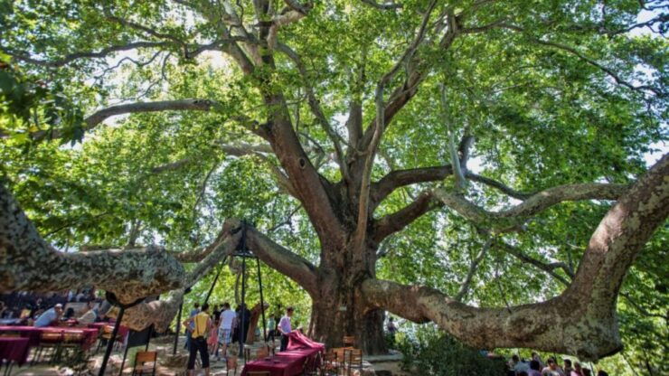 Bursa: Inns and Turkish Baths - Bursas Rich History and Culture