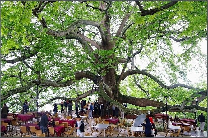 Bursa Nature Tour With Lunch and Cable Car - Meeting and Pickup Details