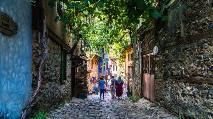 Bursa: Private Walking Tour - Activity Details