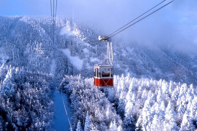 Bursa Small-Group Day Tour With Lunch and Cable Car to Uludag - Istanbul - Good To Know